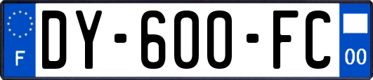 DY-600-FC