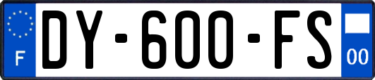 DY-600-FS