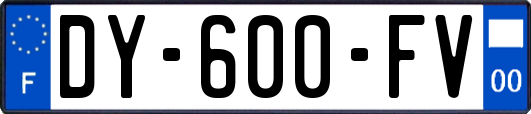 DY-600-FV