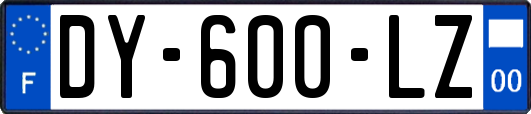 DY-600-LZ