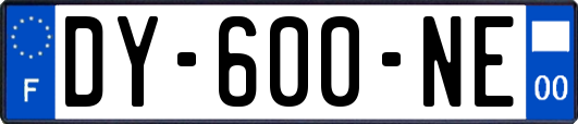 DY-600-NE