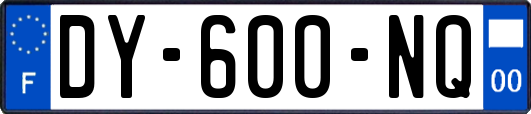 DY-600-NQ