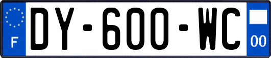 DY-600-WC