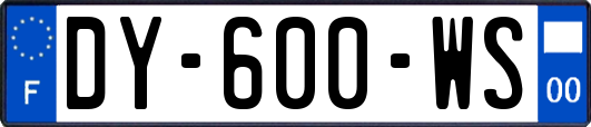 DY-600-WS