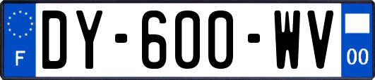 DY-600-WV