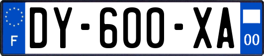 DY-600-XA