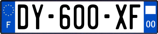 DY-600-XF