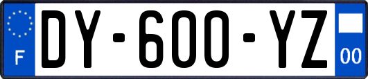 DY-600-YZ