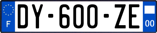 DY-600-ZE