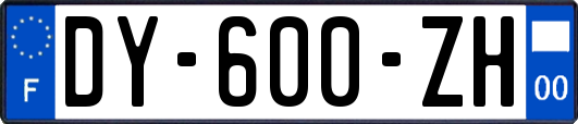 DY-600-ZH