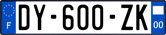 DY-600-ZK