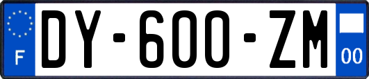 DY-600-ZM