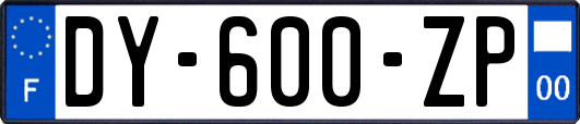 DY-600-ZP