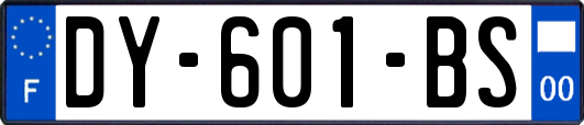 DY-601-BS