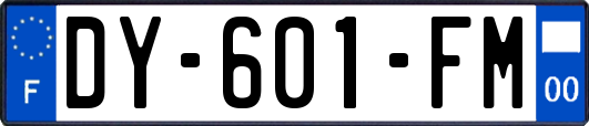 DY-601-FM