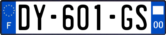 DY-601-GS