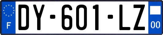 DY-601-LZ