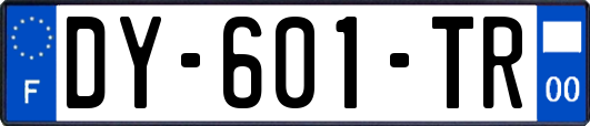 DY-601-TR