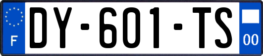 DY-601-TS