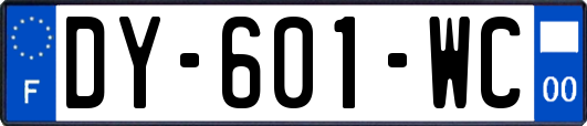 DY-601-WC