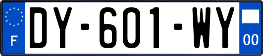 DY-601-WY