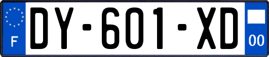 DY-601-XD