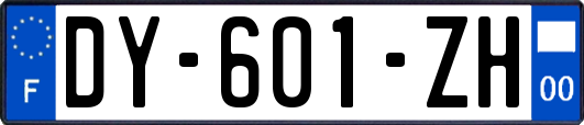 DY-601-ZH