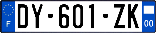 DY-601-ZK