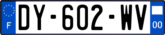 DY-602-WV