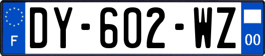 DY-602-WZ