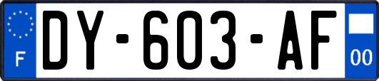 DY-603-AF