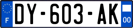 DY-603-AK