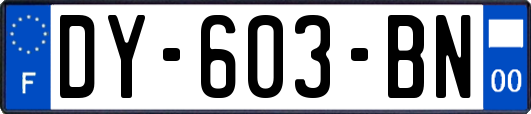 DY-603-BN