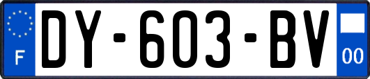 DY-603-BV