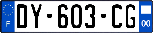 DY-603-CG