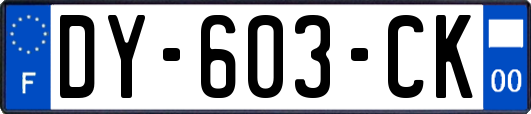 DY-603-CK