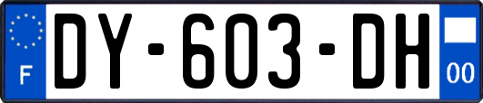 DY-603-DH