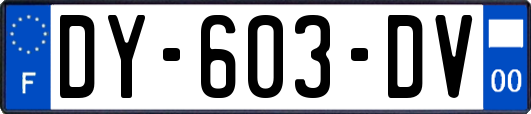 DY-603-DV