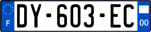 DY-603-EC