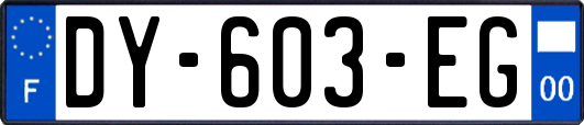 DY-603-EG