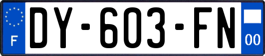 DY-603-FN