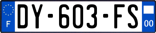 DY-603-FS