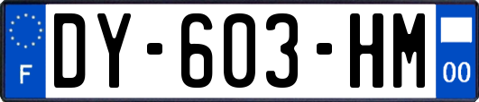 DY-603-HM