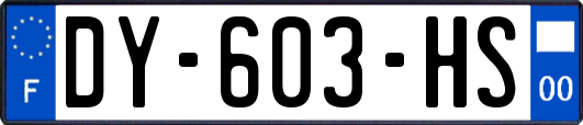 DY-603-HS