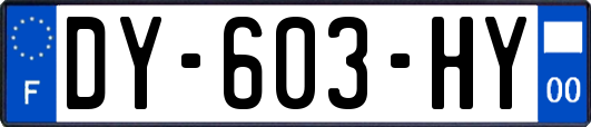 DY-603-HY