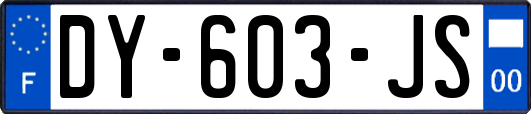 DY-603-JS