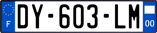 DY-603-LM