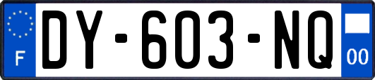 DY-603-NQ