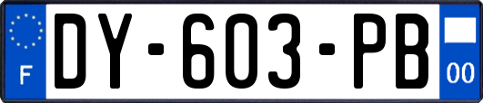 DY-603-PB