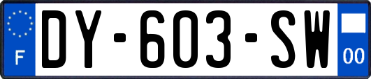 DY-603-SW